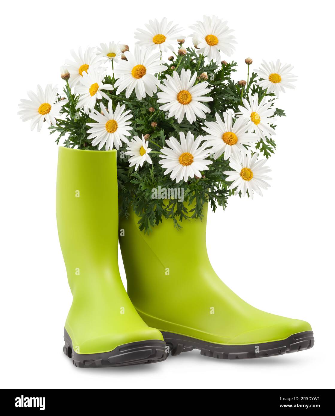 Boots garden decoration Immagini senza sfondo e Foto Stock ritagliate -  Alamy