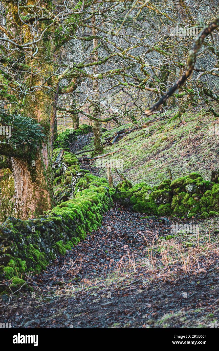 Drimnin tenuta costa occidentale della Scozia. Foto Stock