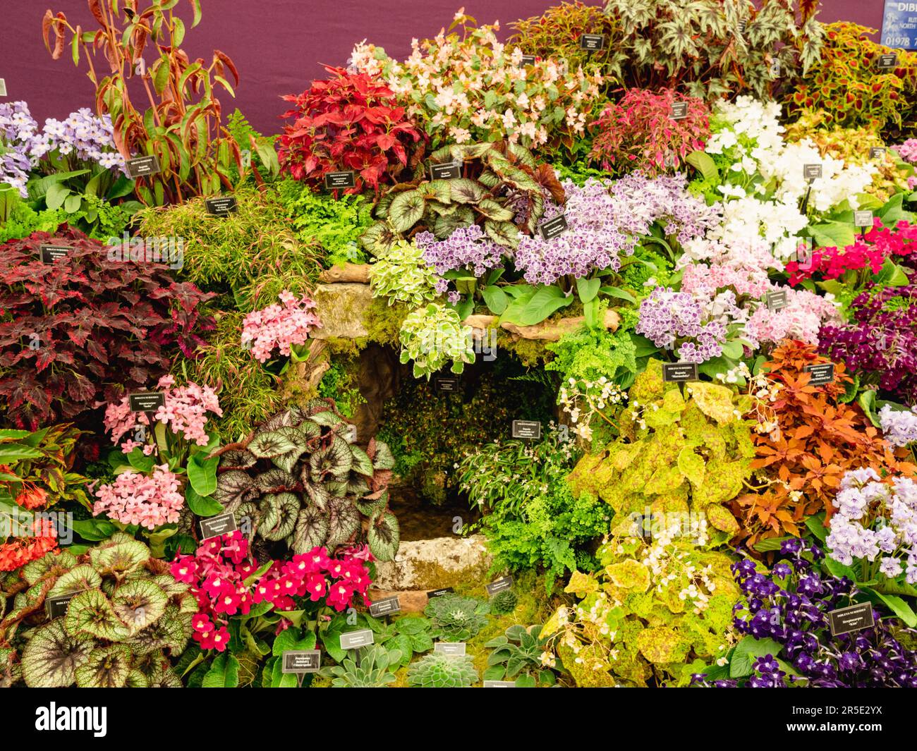 Stand commerciali nel Padiglione al Chelsea Flower Show Foto Stock