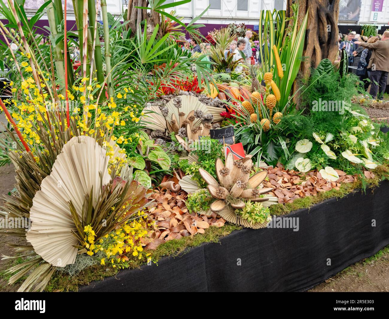 Stand commerciali nel Padiglione al Chelsea Flower Show Foto Stock