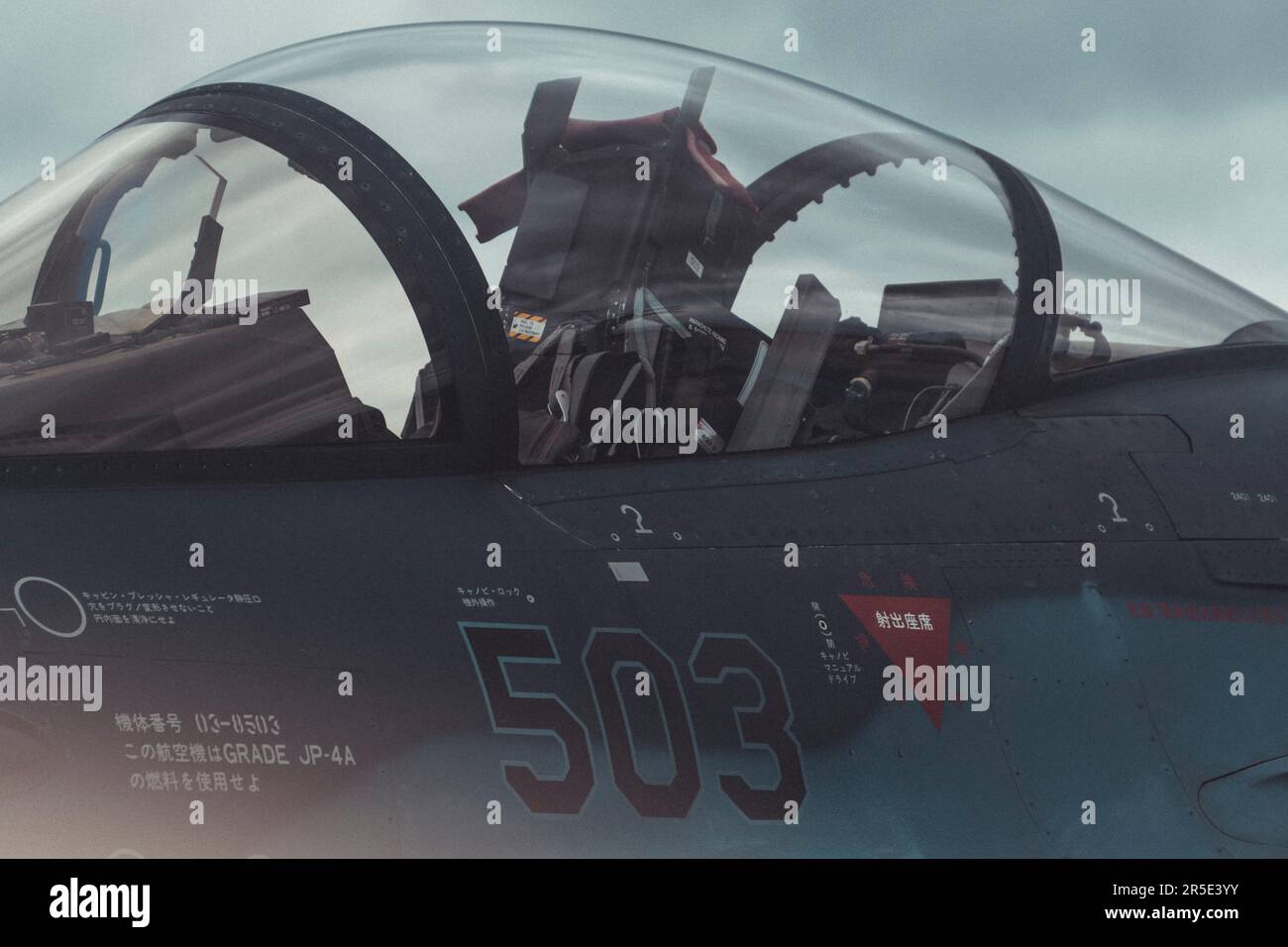 Un Mitsubishi F-2, derivato dall'F-16, e prodotto dalla Mitsubishi Heavy Industries e dalla Lockheed Martin per la Japan Air Self-Defense Force. Foto Stock