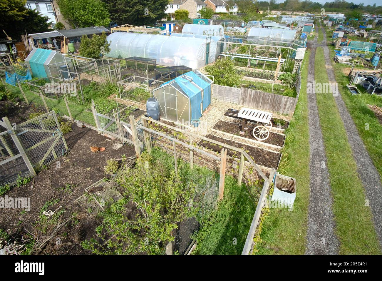 Un tipico giardino britannico a Eastbourne, East Sussex. Un giardino di comunità per gli individui o i gruppi per coltivare cibo o fiori. Foto Stock