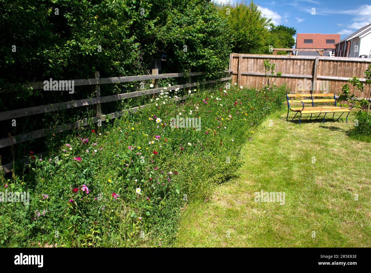 Confine con fiori selvatici nel giardino suburbano, Regno Unito Foto Stock