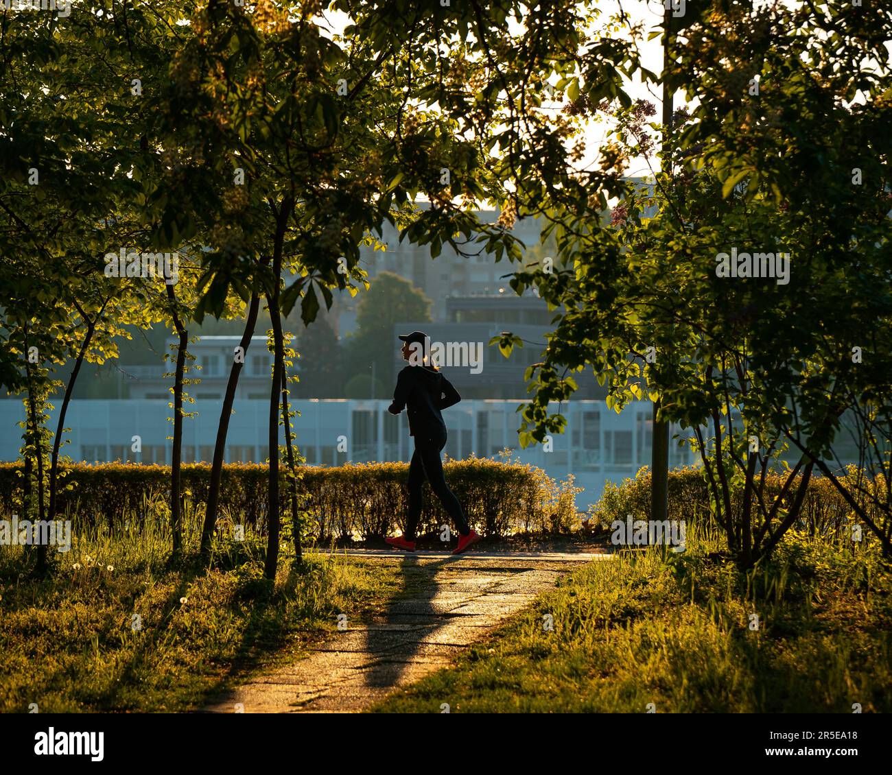 La donna che fa jogging alle luci del mattino. La gente ha bisogno di un'area verde dove poter praticare sport. Le persone amano correre tra gli alberi. La corsa in zona verde i Foto Stock