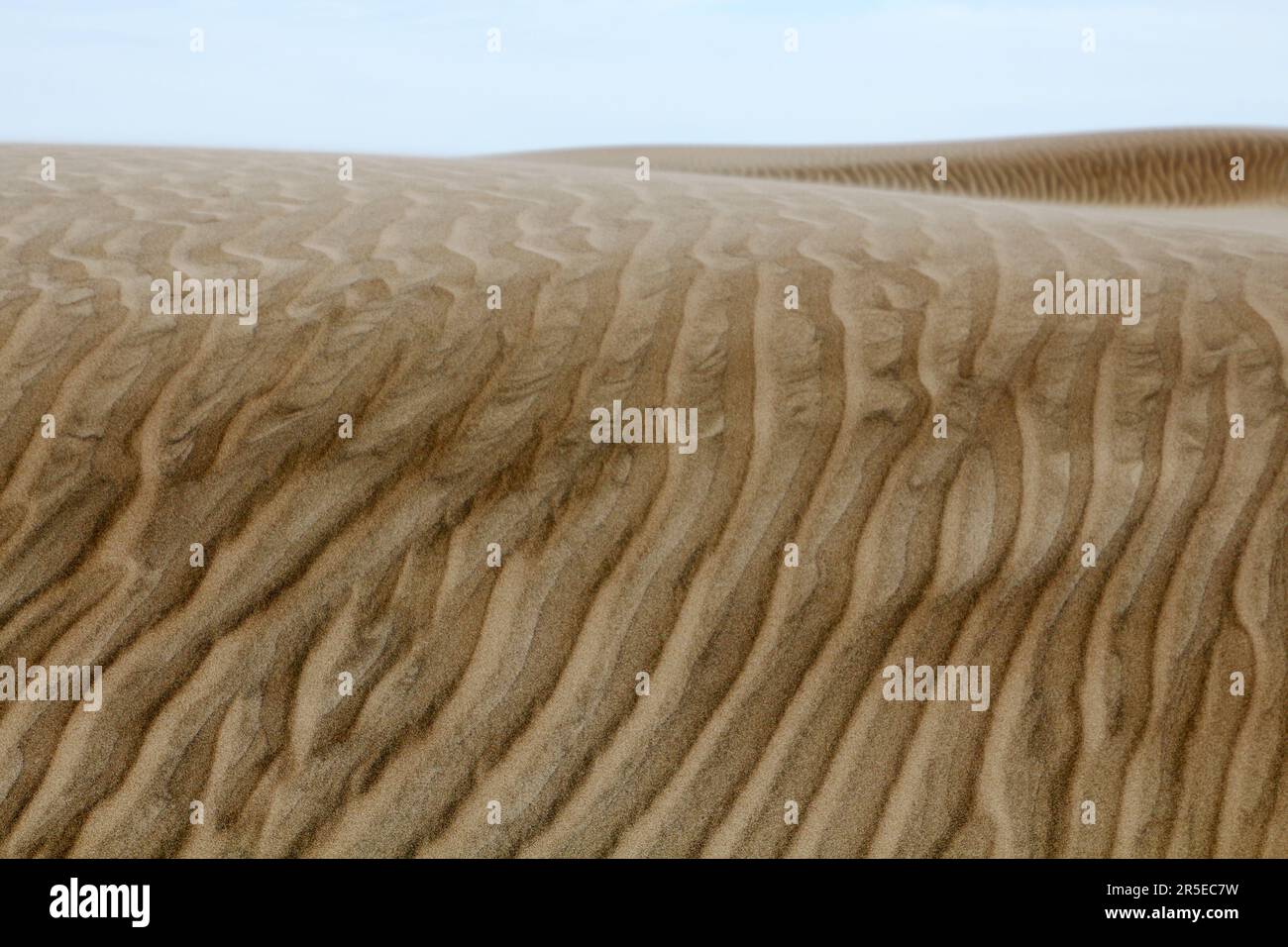 Paesaggio delle dune Bahia Magdalena, Puerto Lopez Mateos, Baja California sur, Messico Foto Stock