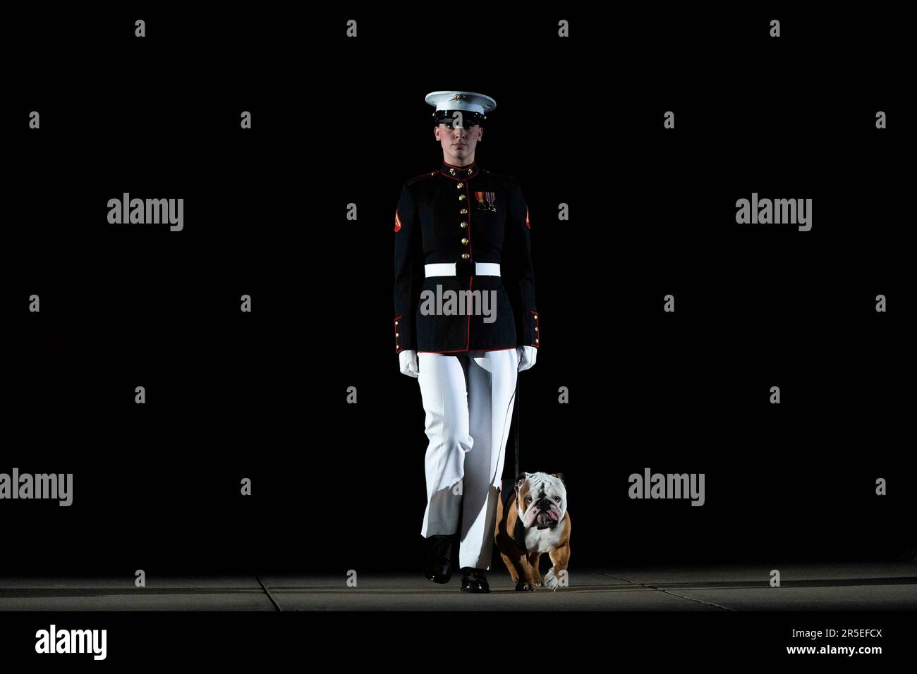 Mascot of the Marines, Chesty, un Bulldog inglese, viene presentato durante la Parata serale del venerdì delle Barracks marine a Washington, DC venerdì 2 giugno 2023. Credit: Bonnie Cash/Pool via CNP Credit: dpa Picture Alliance/Alamy Live News Foto Stock