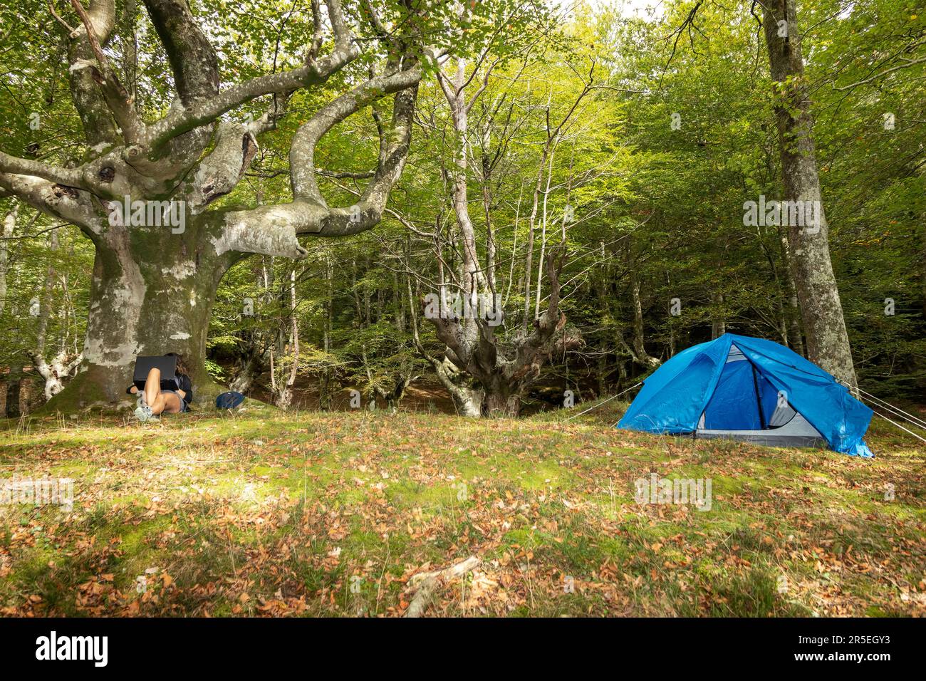 Digital Nomad's Haven: Donna che abbraccia la Serenity, il lavoro di bilanciamento e l'avventura della natura Foto Stock