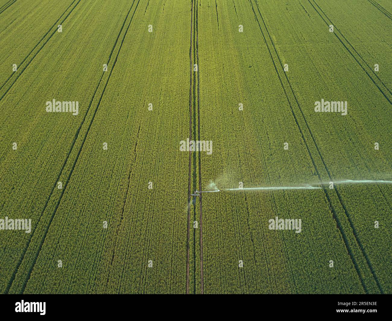 Cura del raccolto. Vista aerea del sistema di irrigazione per l'agricoltura, irrigazione di terreni agricoli Foto Stock