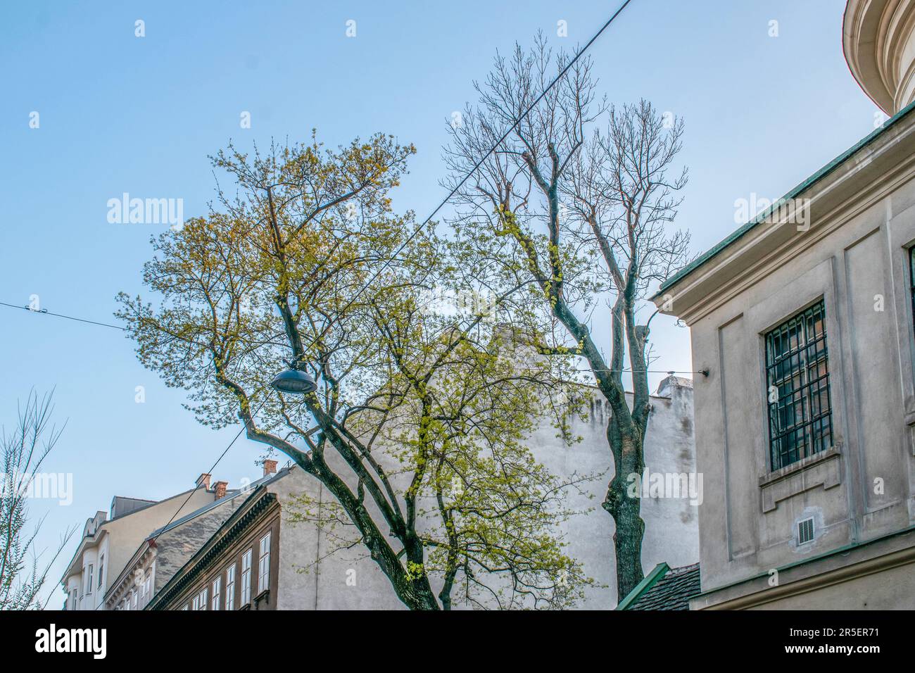 vienna, austria. 10 aprile 2023 oasi urbana: Abbracciare la tavolozza della natura tra l'architettura locale sotto un cielo blu Foto Stock