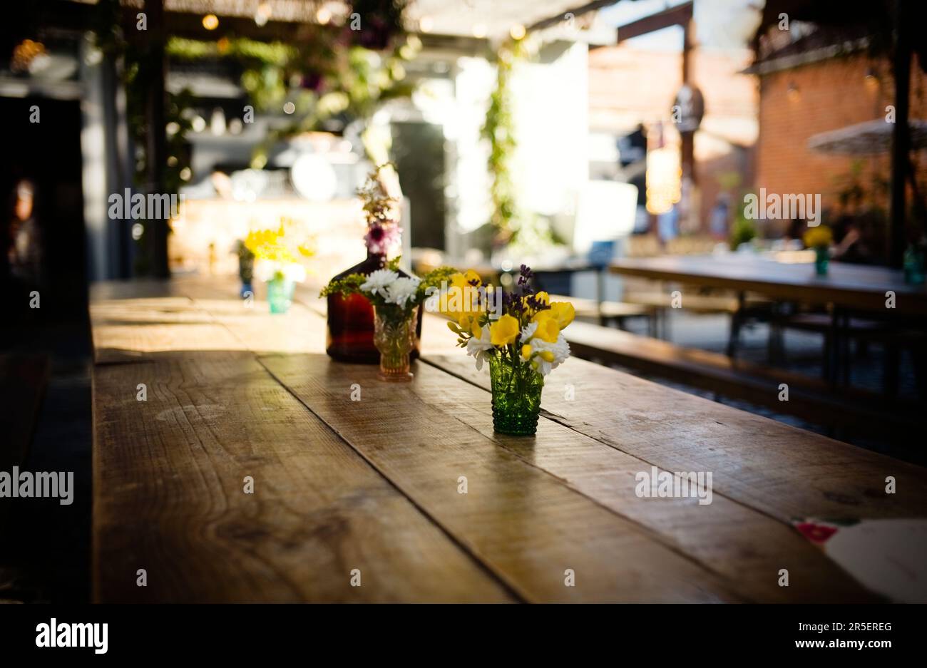 Messa a fuoco morbida, immagine limitata della profondità di campo dei fiori in un'area bar all'aperto di Lisbona Foto Stock