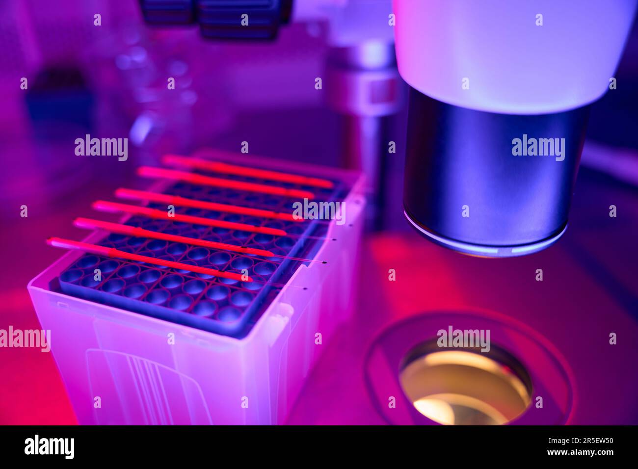 Campioni con dna giacenti su una piastra per colture cellulari vicino al microscopio Foto Stock