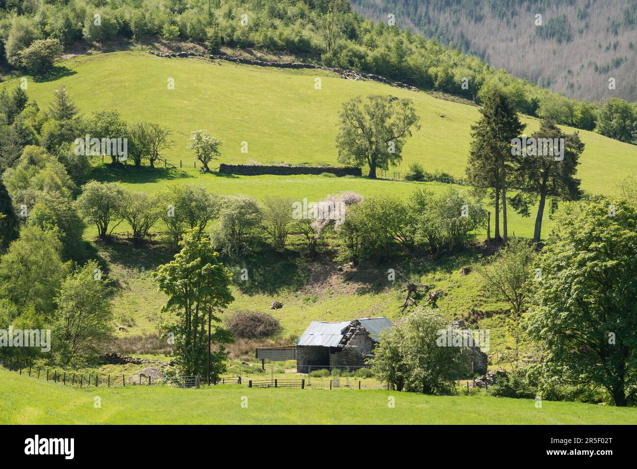 Bala, Gwynedd, Galles - Maggio 27 : Vista del terreno agricolo di Gwynedd, Galles il 27 Maggio 2023 Foto Stock
