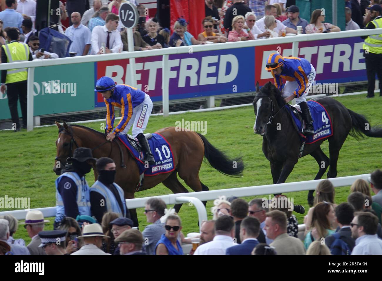 Epsom, Surrey, Regno Unito. 3rd giugno, 2023. Scene del Derby Day, durante il Betfred Derby Festival, qui: Vincitore (no 4) Auguste Rodin guidato da Ryan Moore segue il compagno stabile San Antonio fino alla partenza. Credit: Motofoto/Alamy Live News Foto Stock