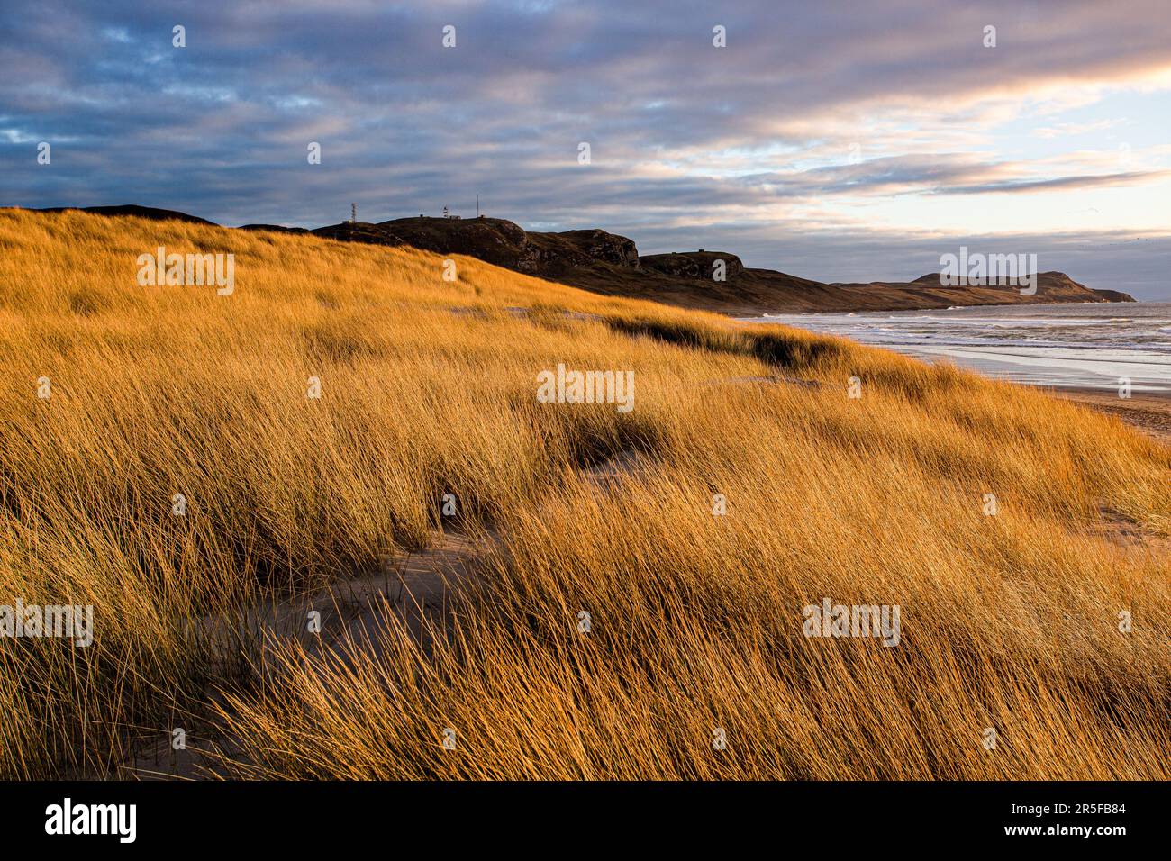 Machir Bay, Isle of Islay, Argyll and Bute, Scozia Foto Stock