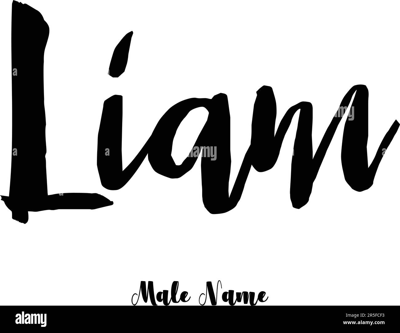 Nome maschio elegante grassetto Grunge Typography testo Lettering Vector Design Illustrazione Vettoriale