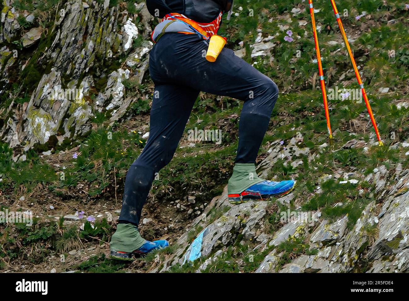 le gambe dell'atleta e i bastoni da trekking vanno in salita nel sentiero della maratona skyrunning, gara di percorso difficile in montagna Foto Stock