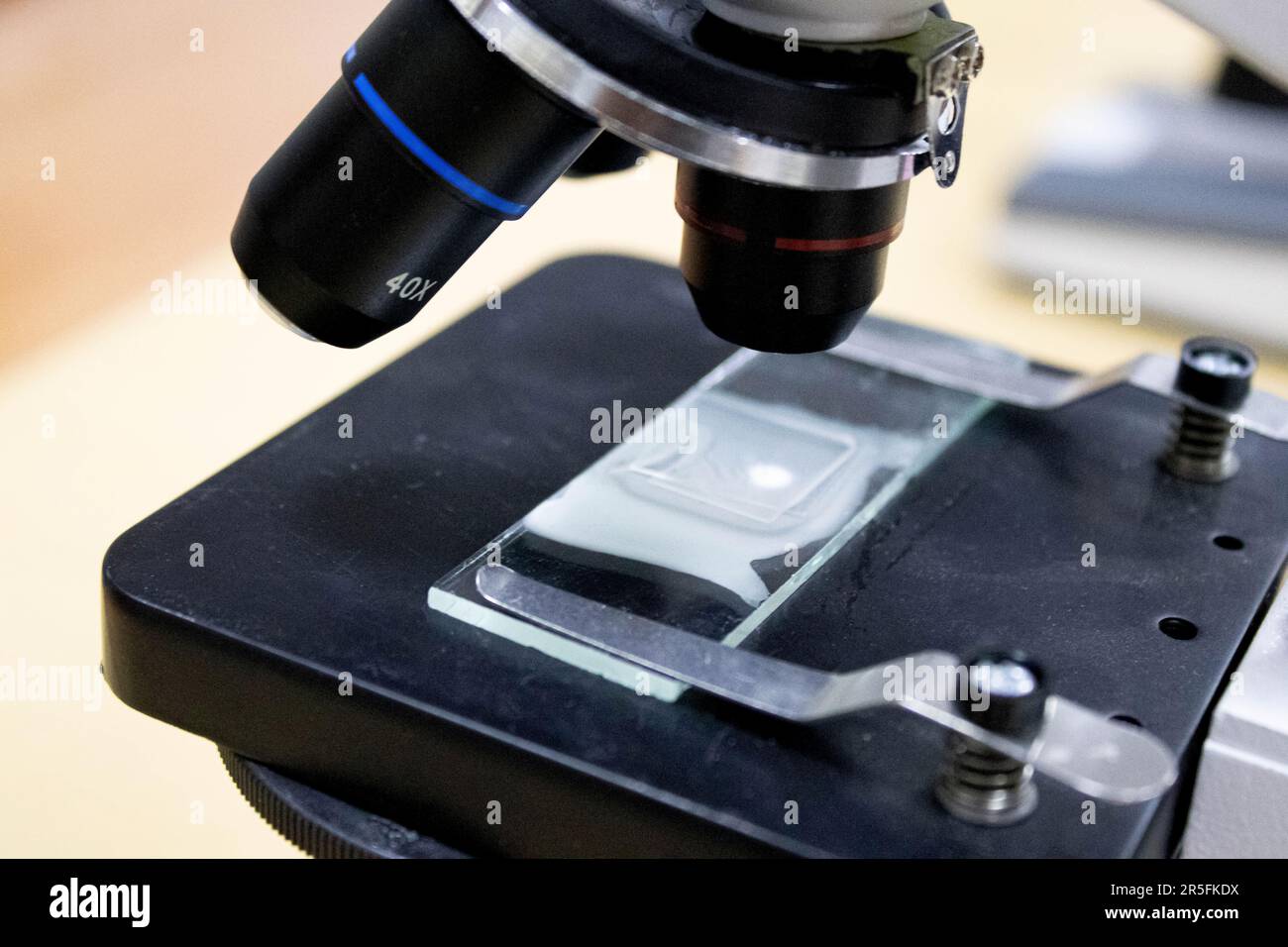 Sumaho De Microscopio: Obiettivo Microscopico Per Smartphone Con Illuminazione A LED (Nero/Rosa) - 6