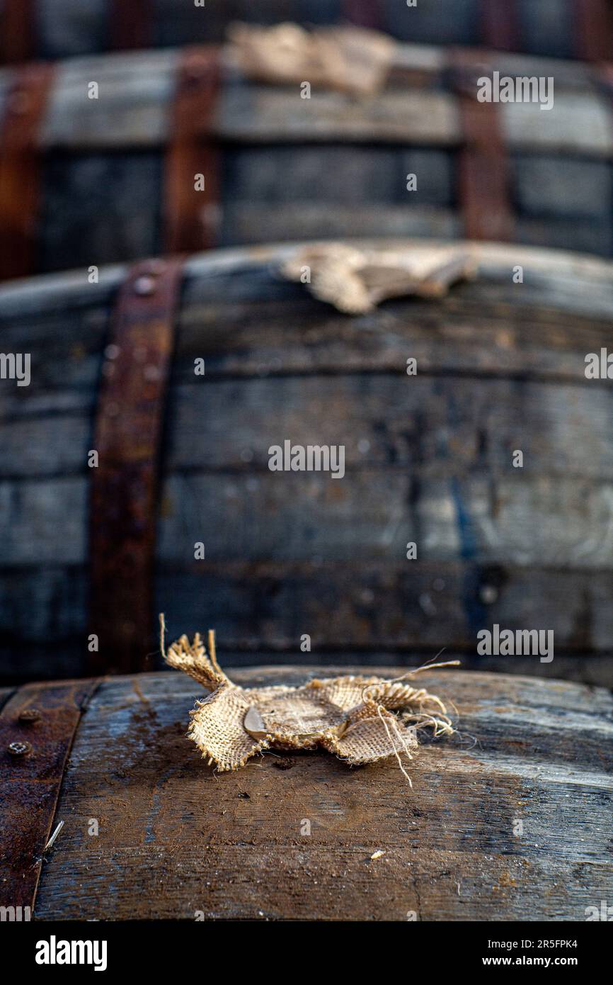 Barile di whisky, vista del tappo e del bunghole Foto Stock