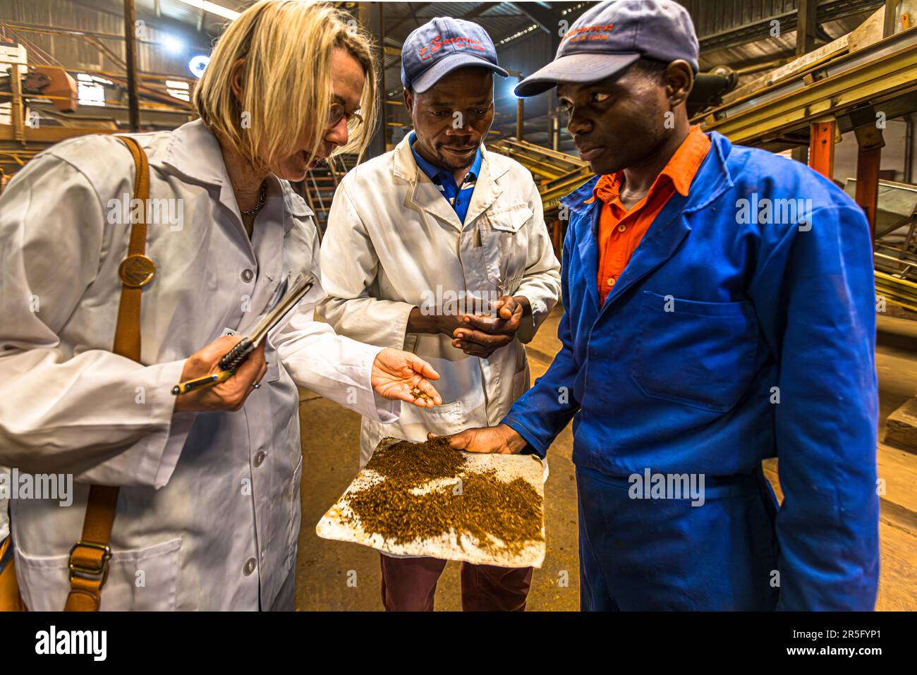 Durante una visita guidata dell'area di produzione della fabbrica sulla tenuta di Satemwa vicino a Thyolo, Malawi, alla giornalista Angela Berg vengono mostrati campioni di tè di diverse dimensioni di foglie e gradi di ossidazione. Satemwa è l'ultima azienda teatiera a gestione familiare in Malawi. Foto Stock