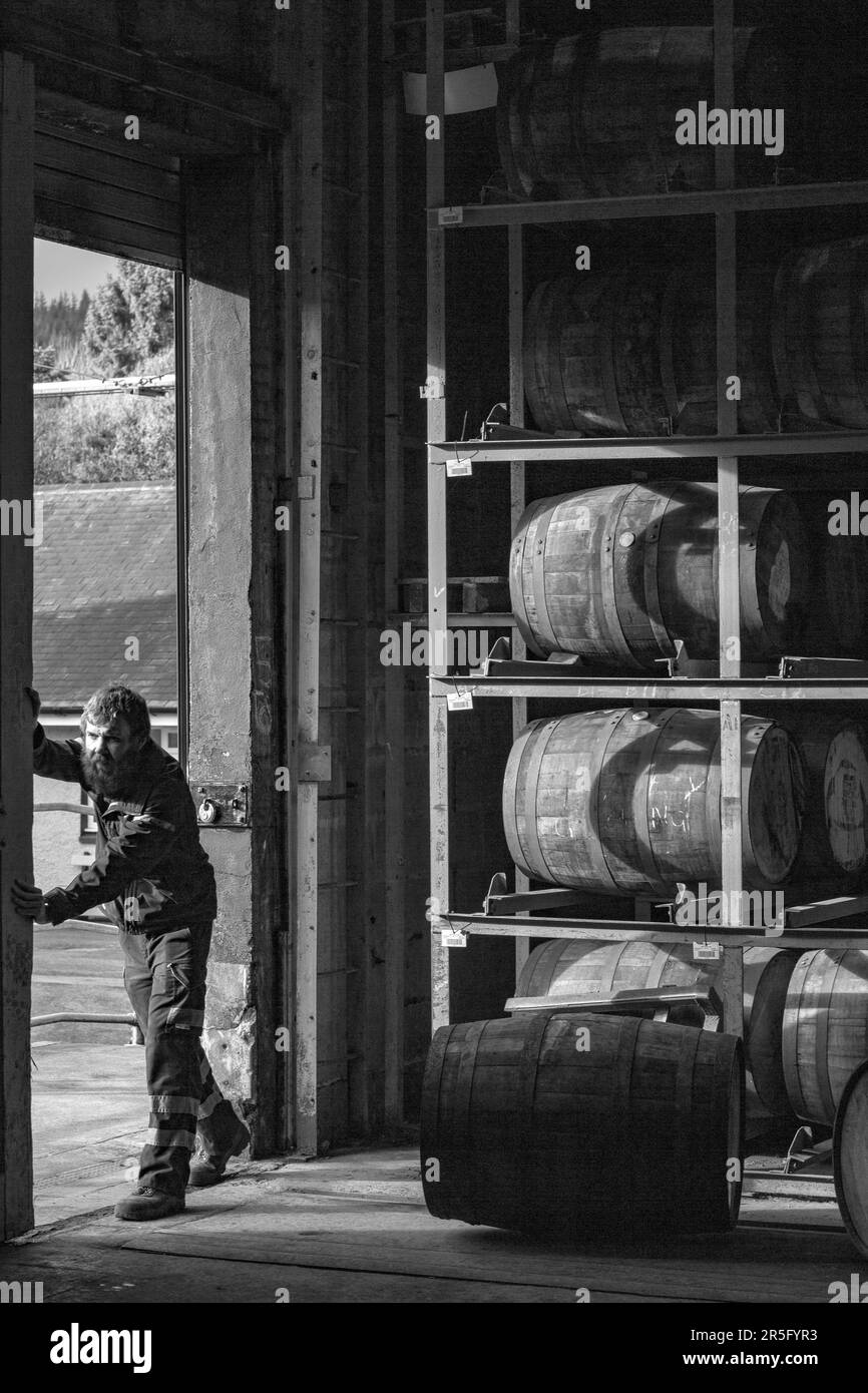 Magazzino della distilleria di whisky di Tannavulin, Ballindalloch, Banffshire, Scozia, Regno Unito Foto Stock