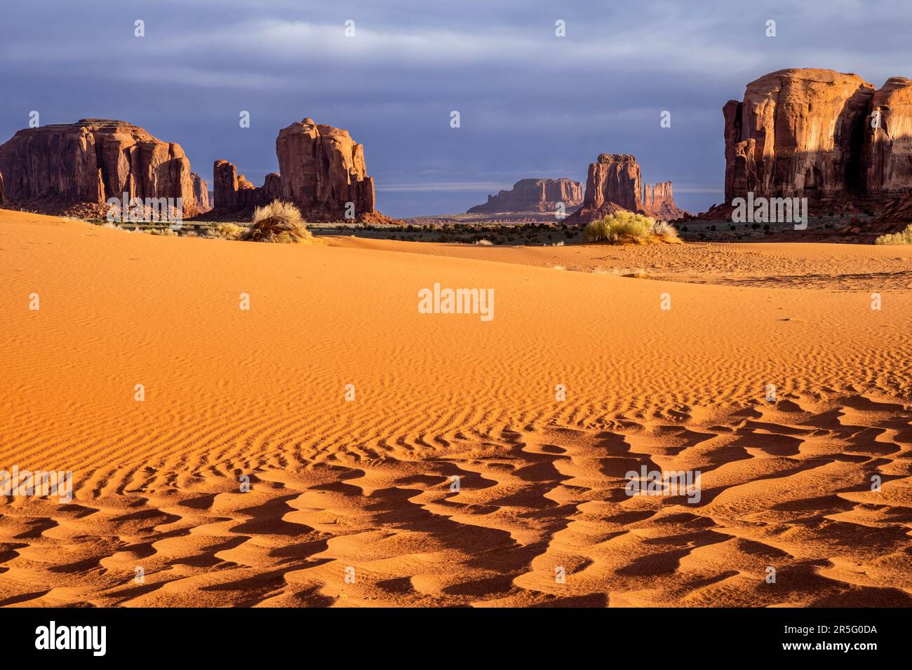 Dune di sabbia Springs all'alba nel Monument Valley Navajo Tribal Park, Arizona, Stati Uniti Foto Stock