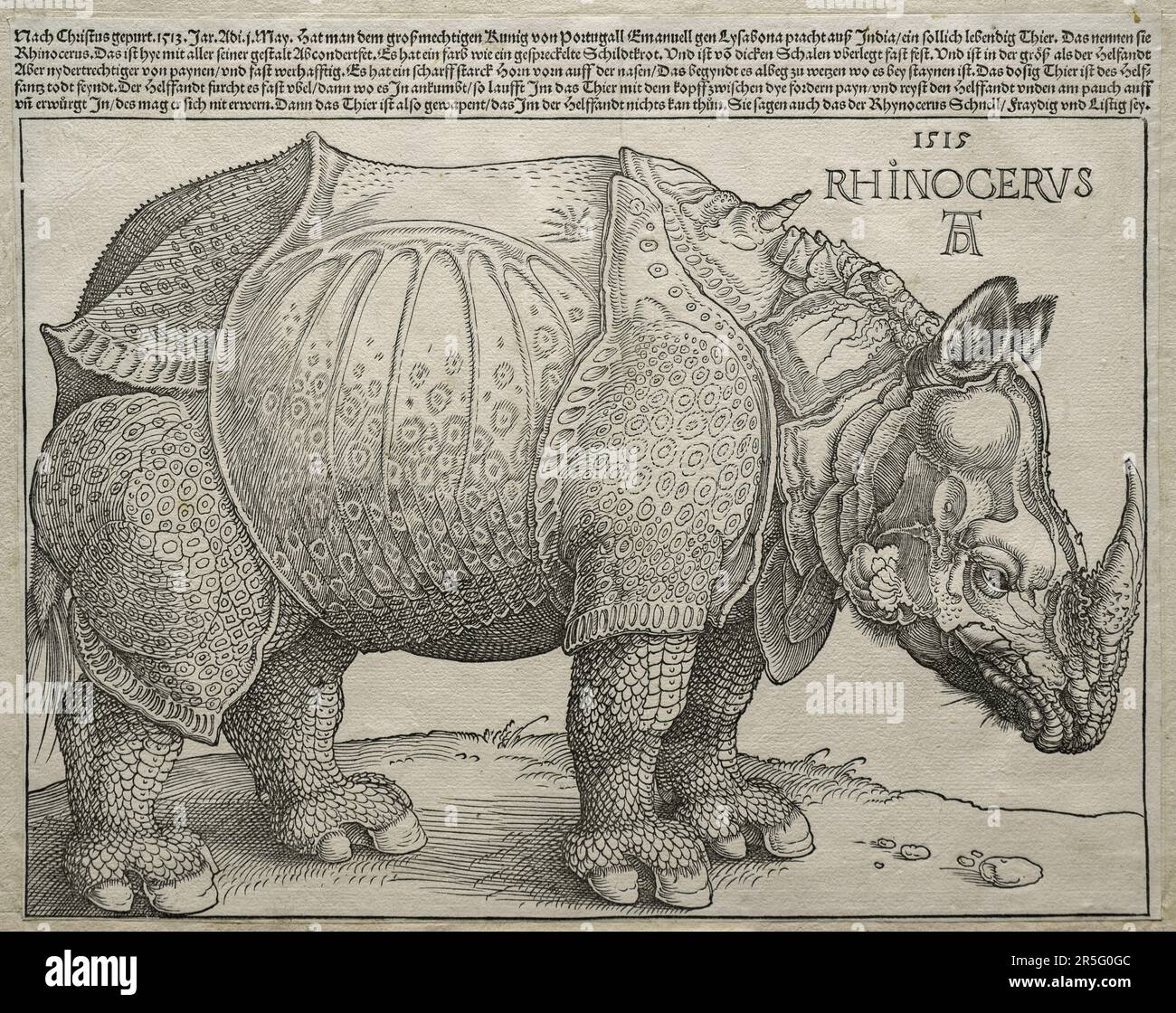 Albrecht Dürer, il Rhinoceros, 1515, stampa legno. Cleveland Museum of Art, Stati Uniti d'America (risoluzione e nitidezza molto elevate) Foto Stock