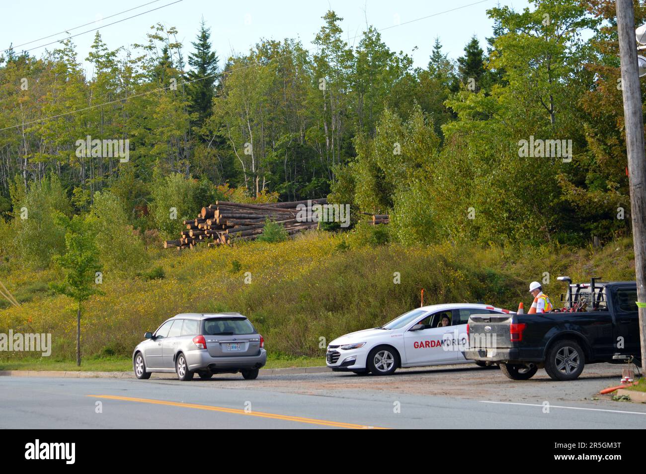 Taglio di alberi nella zona umida di Eisner Cove per lo sviluppo suburbano del Mount Hope Village a Dartmouth, Nuova Scozia, Canada (2022) Foto Stock