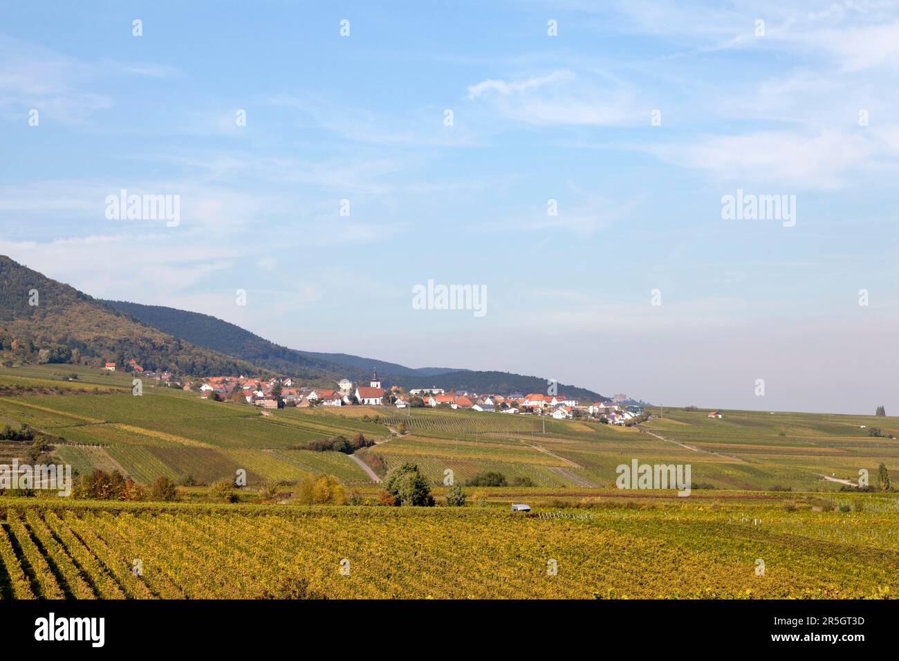 Autunno su il tedesco della Strada del Vino Foto Stock