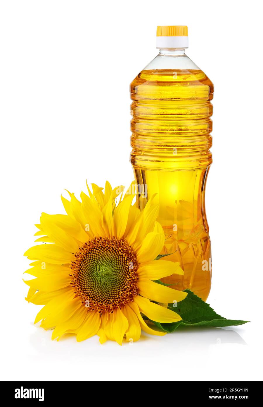 Bottiglia di olio di semi di girasole con fiore isolato su sfondo bianco Foto Stock