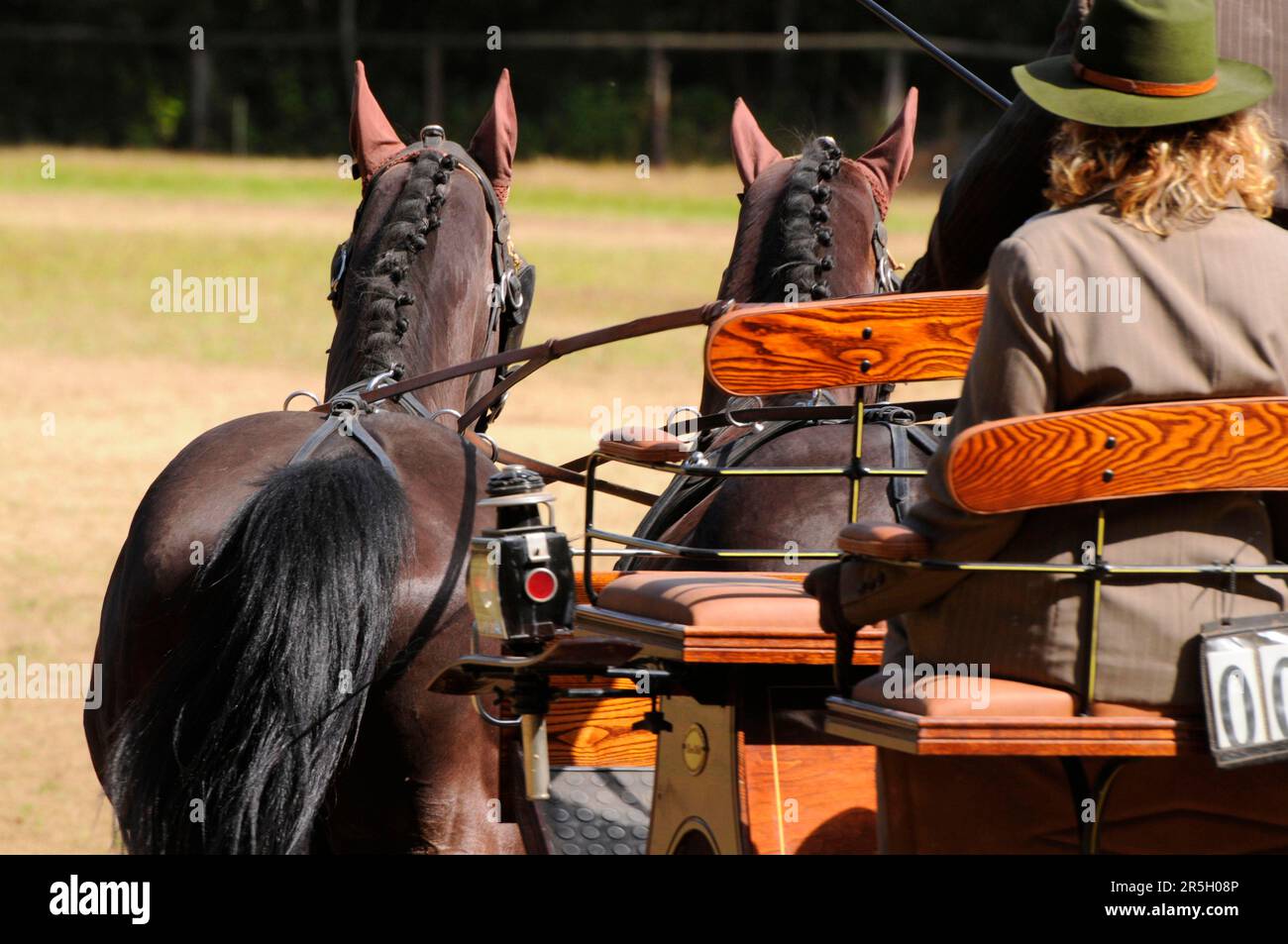 Guida, due in mano, carrozza a cavallo, prova di dressage Foto Stock