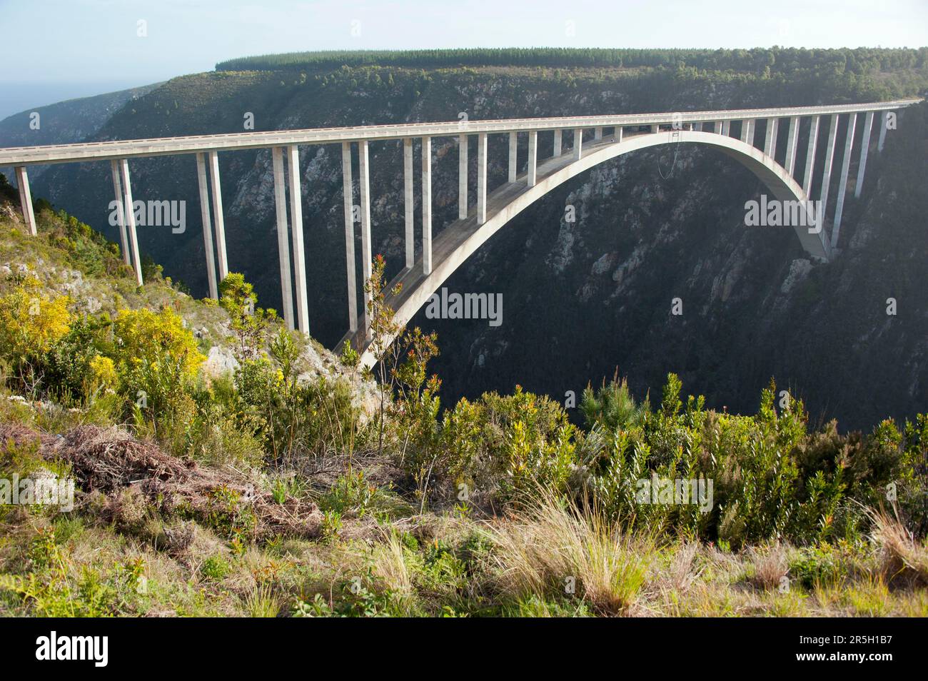 Ponte, Ponte sul fiume Bloukrans, percorso del Parco Nazionale di Tsitsikamma, Capo Orientale, percorso del Sud Africa, Capo Orientale Foto Stock