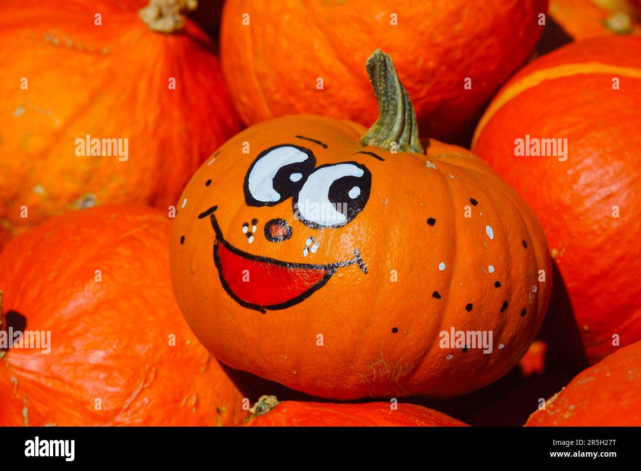 Zucca con volto divertente, zucca Foto Stock