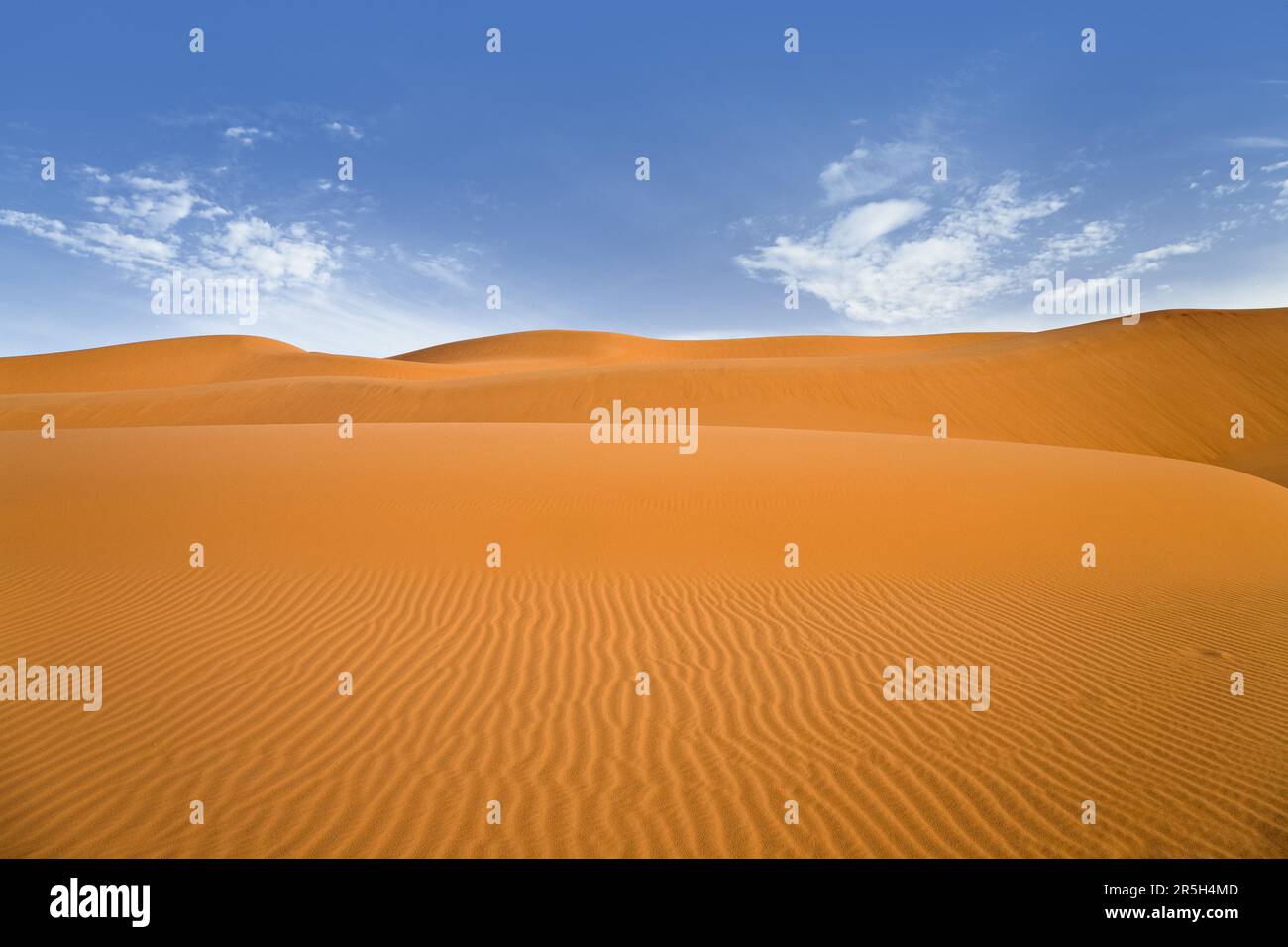 Dune di sabbia, deserto libico, Sahara, Libia Foto Stock