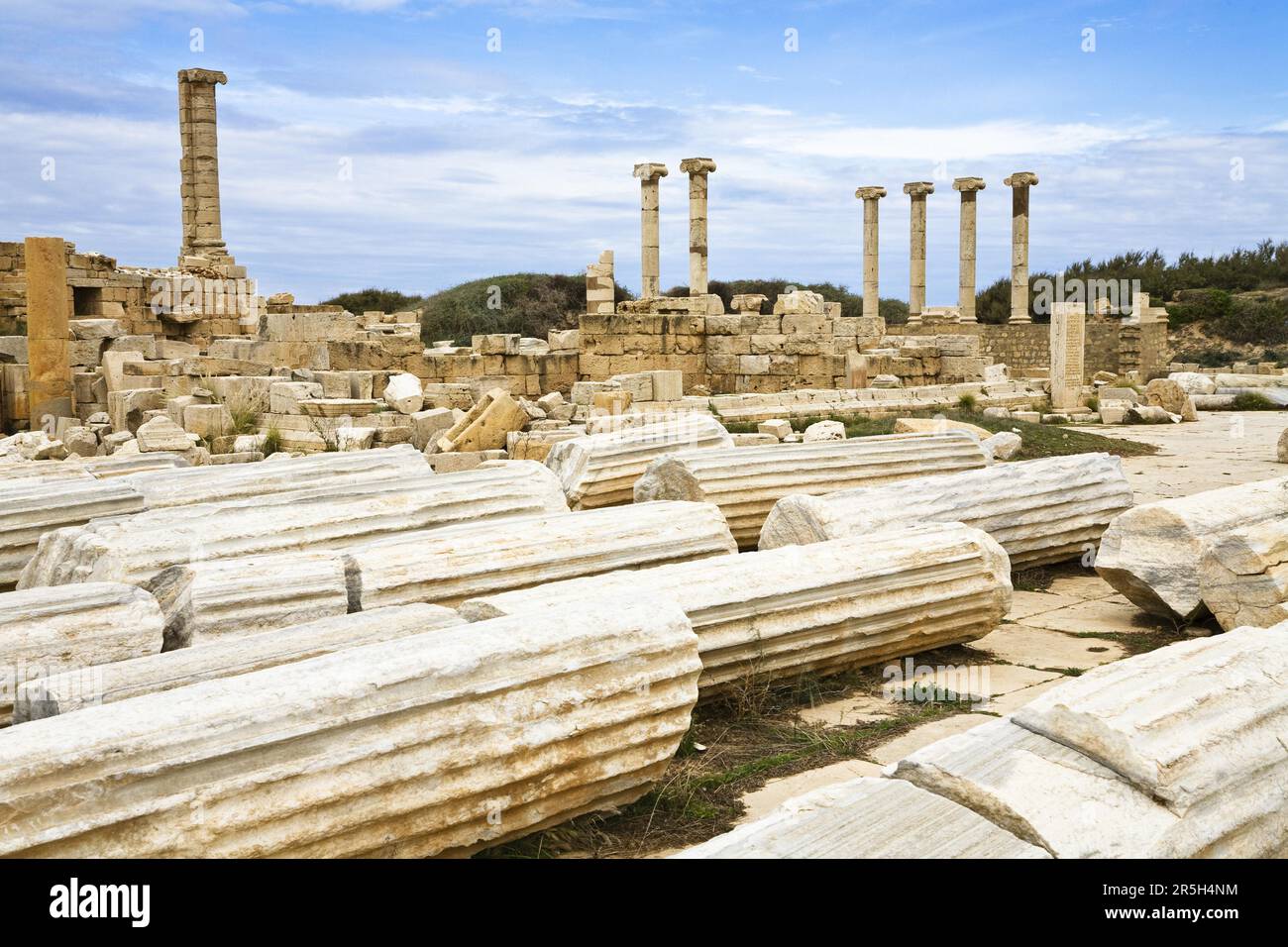 Foro antico, città in rovina di Leptis Magna, Libia Foto Stock