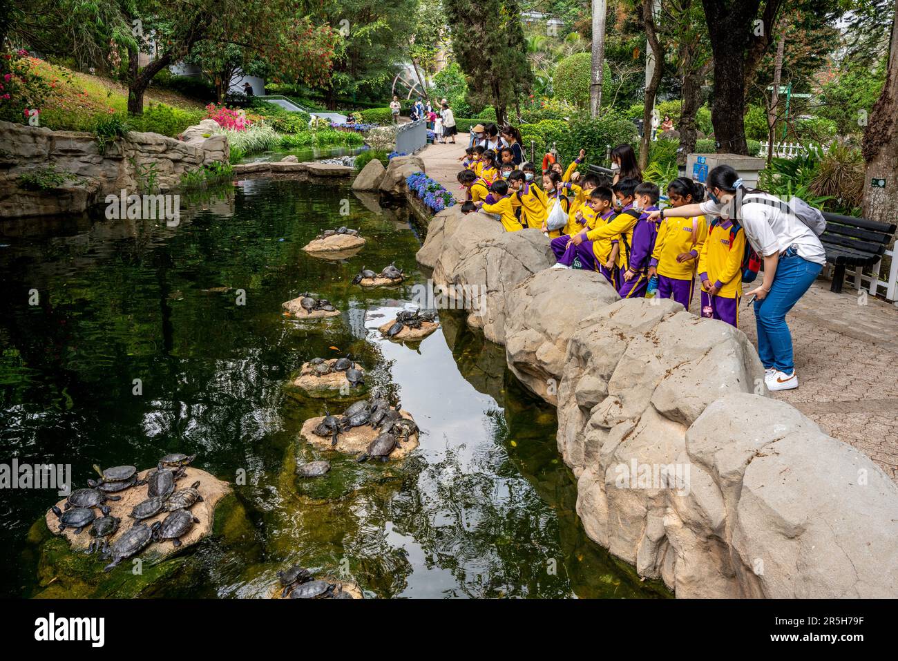 Un gruppo di bambini della scuola in una visita al Parco di Hong Kong guardando i Terrapins, Hong Kong, Cina. Foto Stock