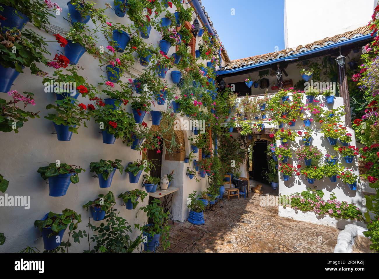 Cortile tradizionale a San Basilio - Cordoba, Andalusia, Spagna Foto Stock