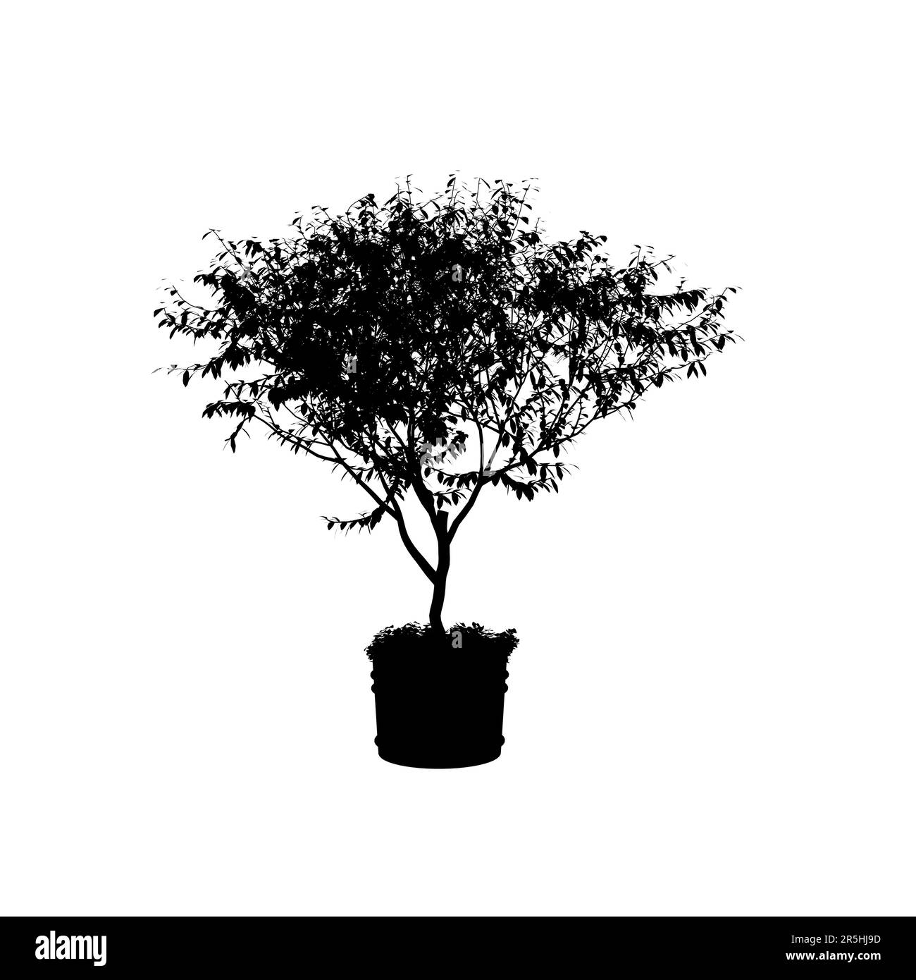 Silhouette di un piccolo albero decorativo in vaso isolato su sfondo bianco. Illustrazione vettoriale. Illustrazione Vettoriale