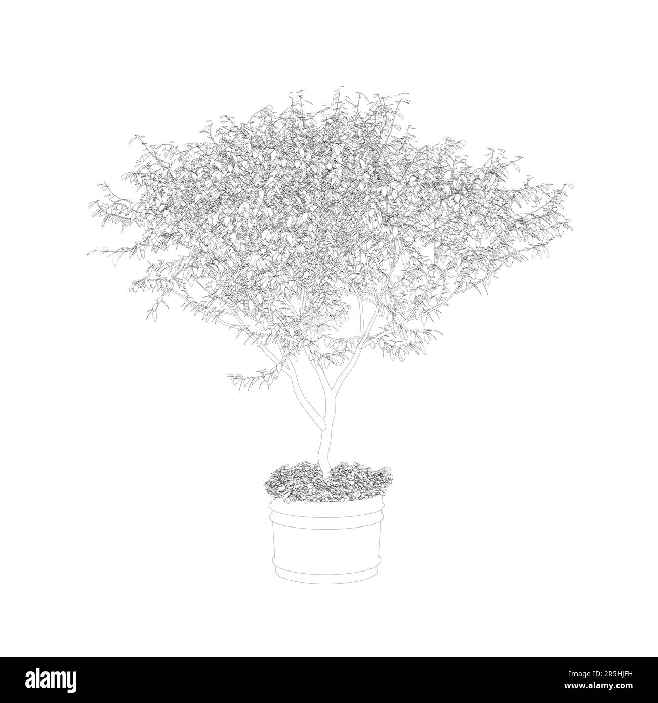 Profilo di un piccolo albero decorativo in una pentola da linee nere isolate su uno sfondo bianco. Illustrazione vettoriale. Illustrazione Vettoriale