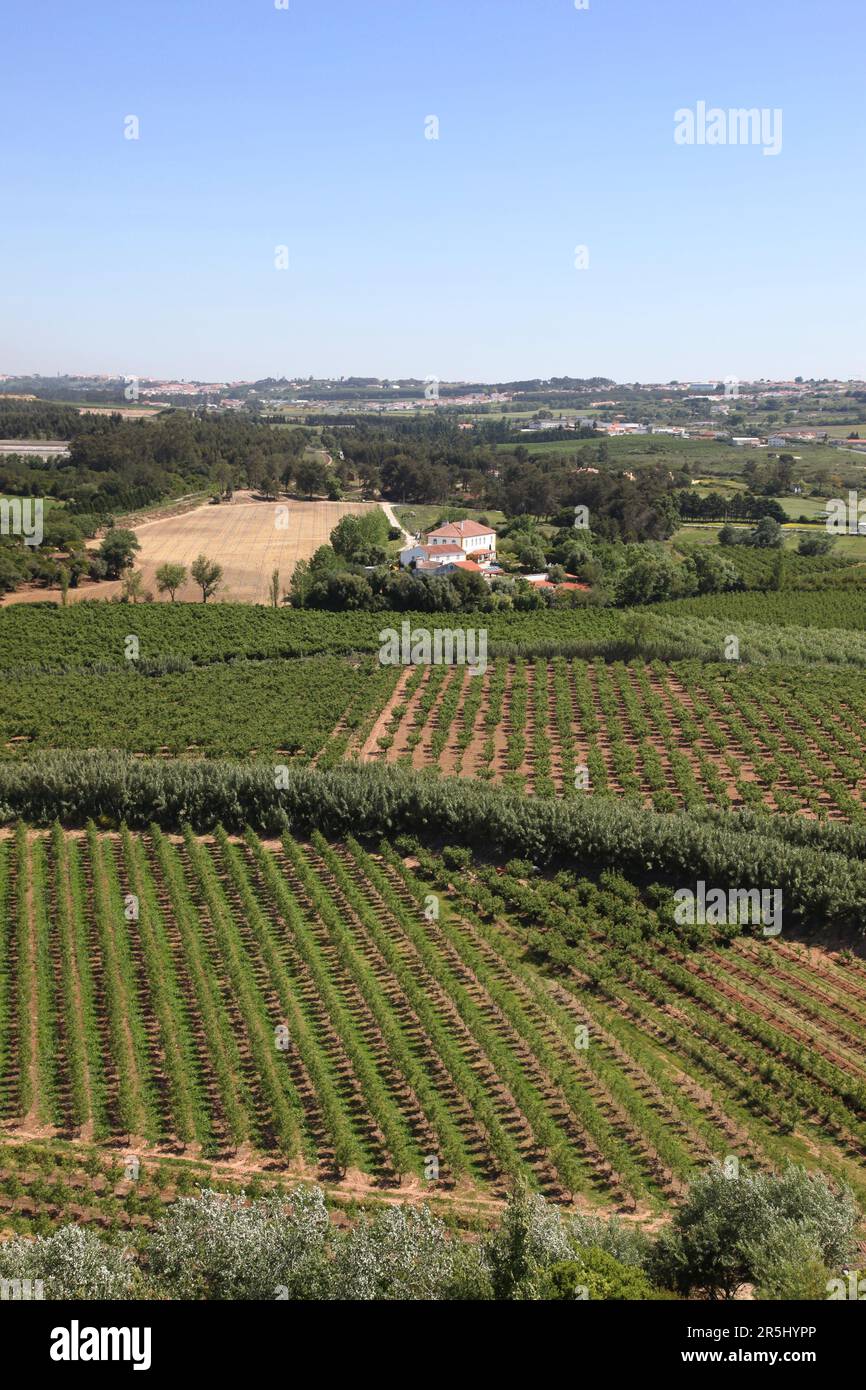 Campagna rurale intorno a Obidos Portogallo. Foto Stock