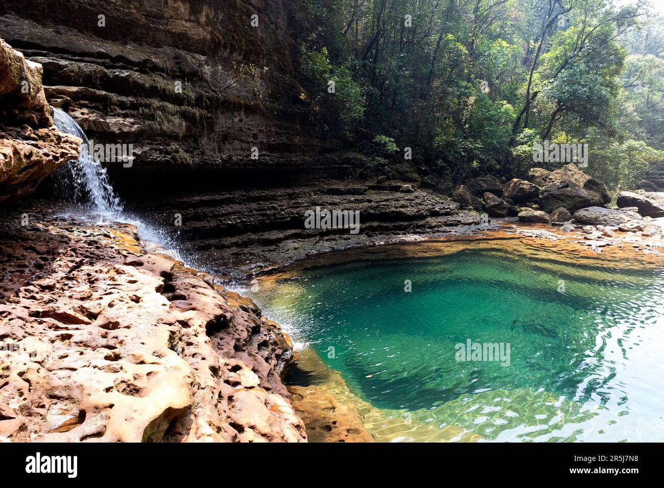 Bella piscina di cascate Wei Sawdong circondata da lussureggiante foresta pluviale tropicale nella regione di Cherrapunji, Meghalaya nella parte nord-orientale dell'India Foto Stock