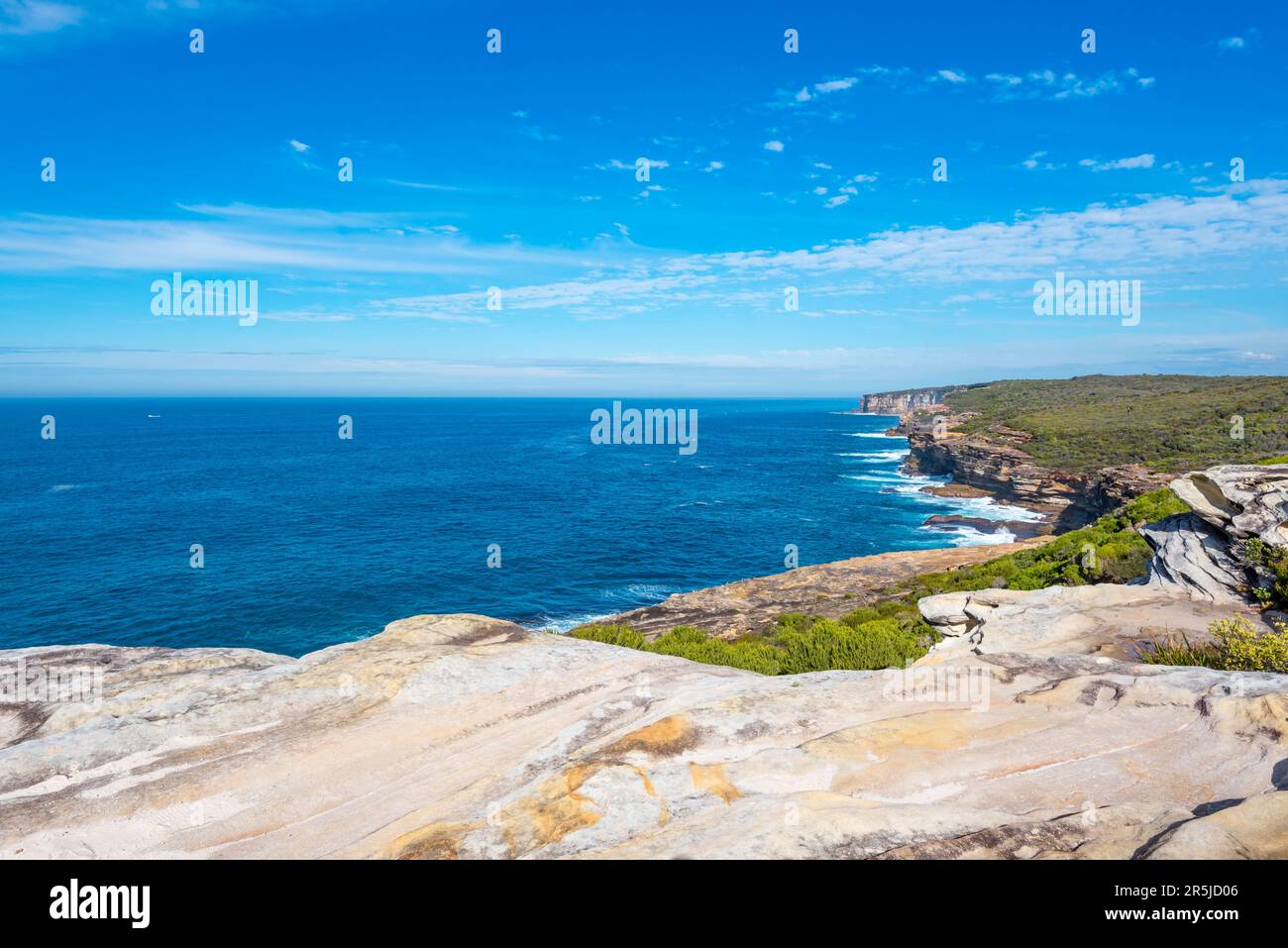 Bassa crescita di vento e sale tollerante, vegetazione nativa fornisce una coperta verde per le scogliere costiere lungo la passeggiata costiera vicino a Bundeena, Australia Foto Stock