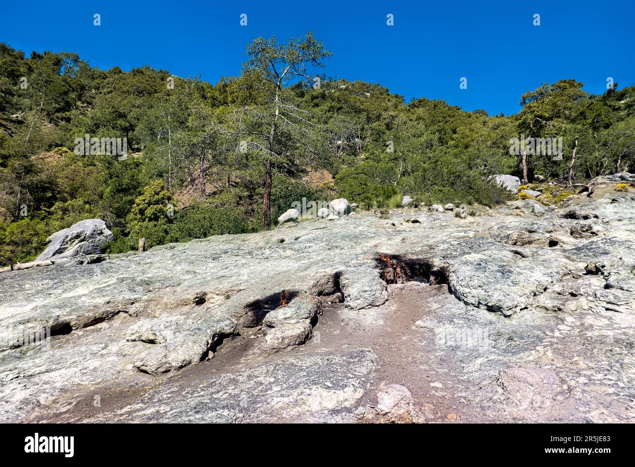 Yanartaş, l'eterna fiamma ardente, vicino alle rovine Olympos lungo la via Licia, Cirali, Turchia Foto Stock