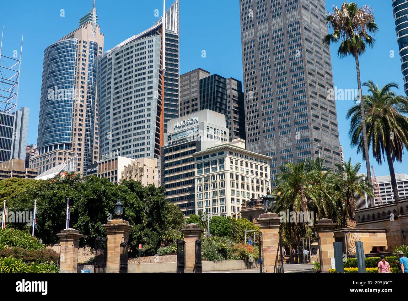 Lo skyline di Sydney dai Giardini Botanici Foto Stock