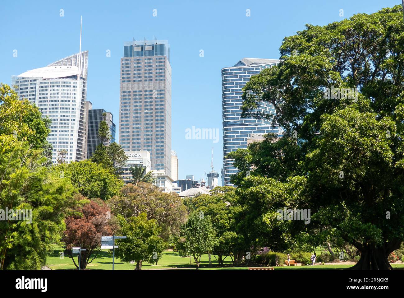 Lo skyline di Sydney dai Giardini Botanici Foto Stock