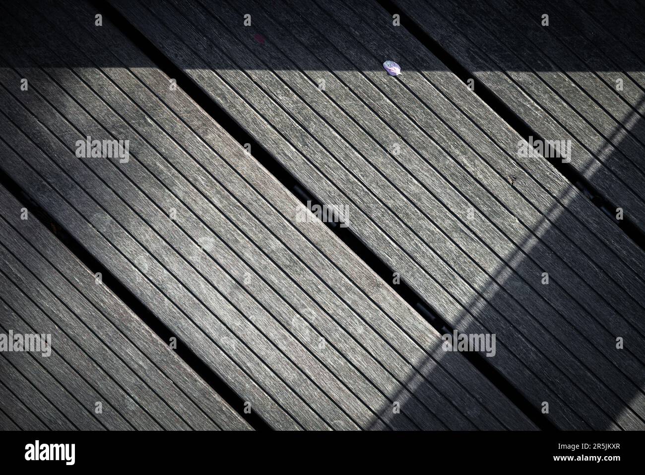 Un fiore di ciliegio che cade sul pavimento di legno Foto Stock