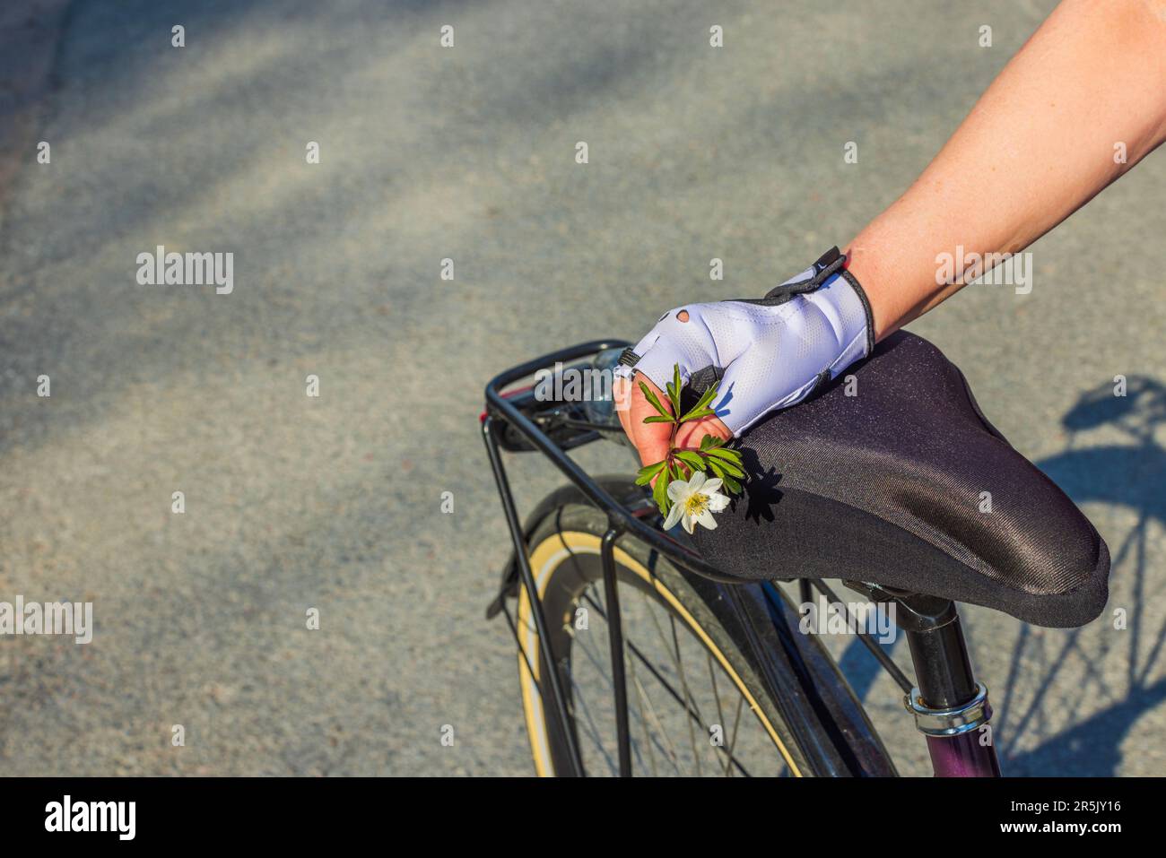 Bella vista della mano della donna in guanti sportivi che reggono con fiore bianco sul sedile della bicicletta. Svezia. Foto Stock