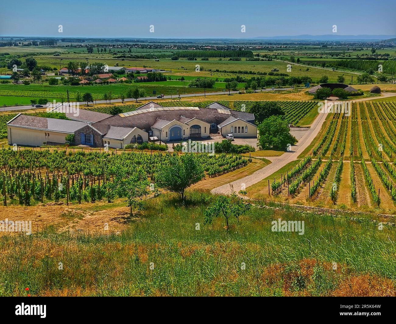 Vista della cantina Disznókő (Tokaj, Ungheria), dei vigneti e del paesaggio piatto ungherese. Foto Stock