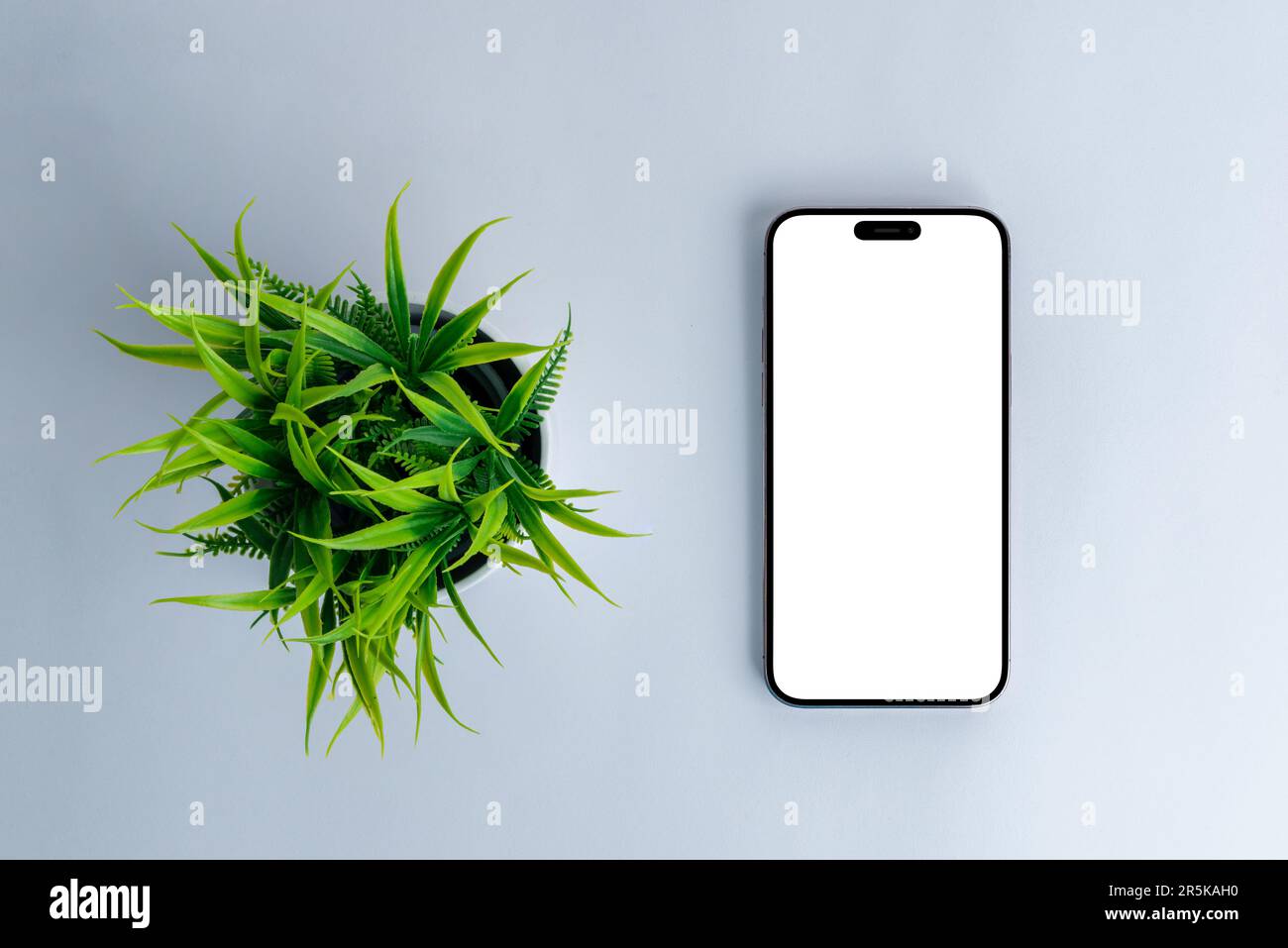 Telefono mockup accanto alla pianta. Vista dall'alto, composizione di giacitura piatta. Telefono moderno con fotocamera integrata nel display. Schermata isolata e vuota per app o pagina Web Foto Stock