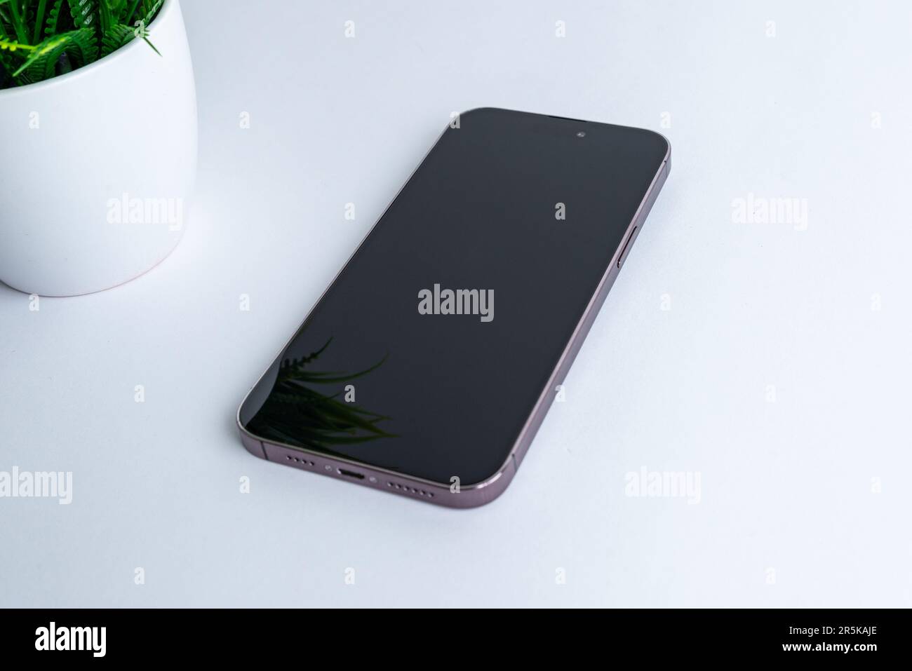 Telefono moderno su scrivania bianca. Pianta accanto. Composizione pulita e piatta. Primo piano Foto Stock