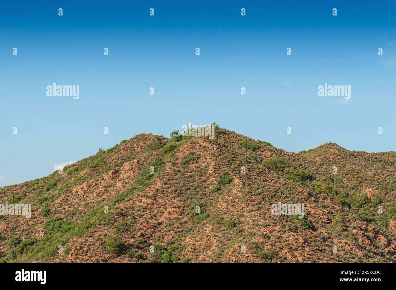 Paesaggio naturale. Una collina naturale verde in primavera e cielo blu. Foto Stock